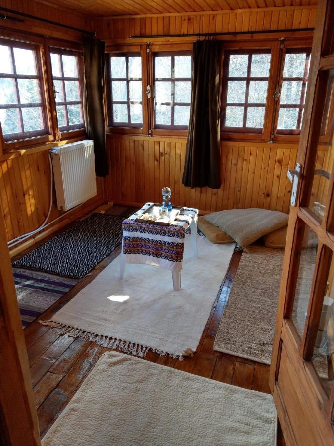 סינאיה Grandpa'S Hidden Crib, 6 Bedroom, Pet Friendly מראה חיצוני תמונה